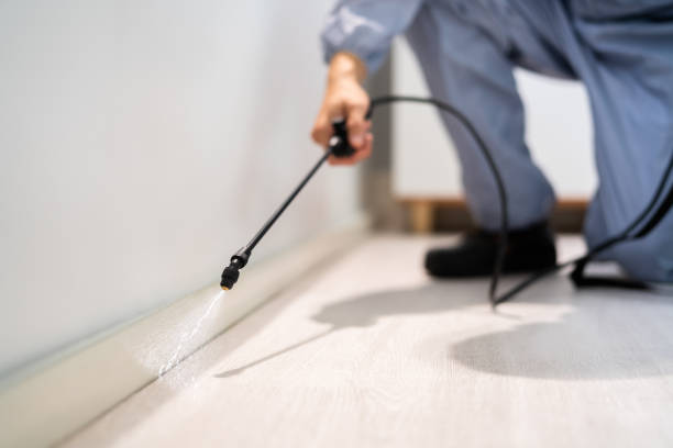 Rodent Entry Point Assessment in Brownsville