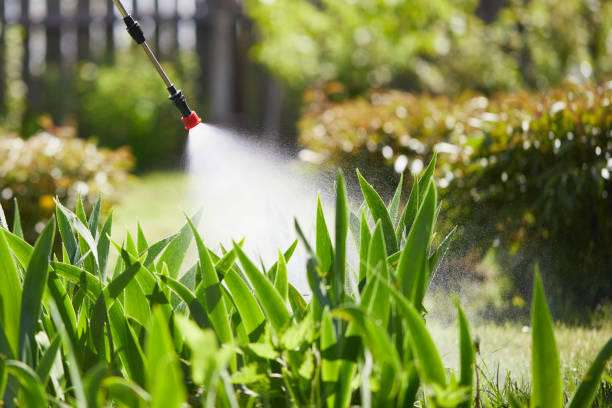 Tamper-Resistant Bait Stations for Rodents in Brownsville