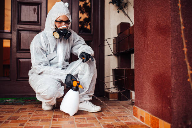 Attic and Crawl Space Rodent Treatment in Brownsville